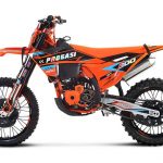 endurance_300_efi_orange_02