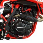 super_max_250_rr_red_05